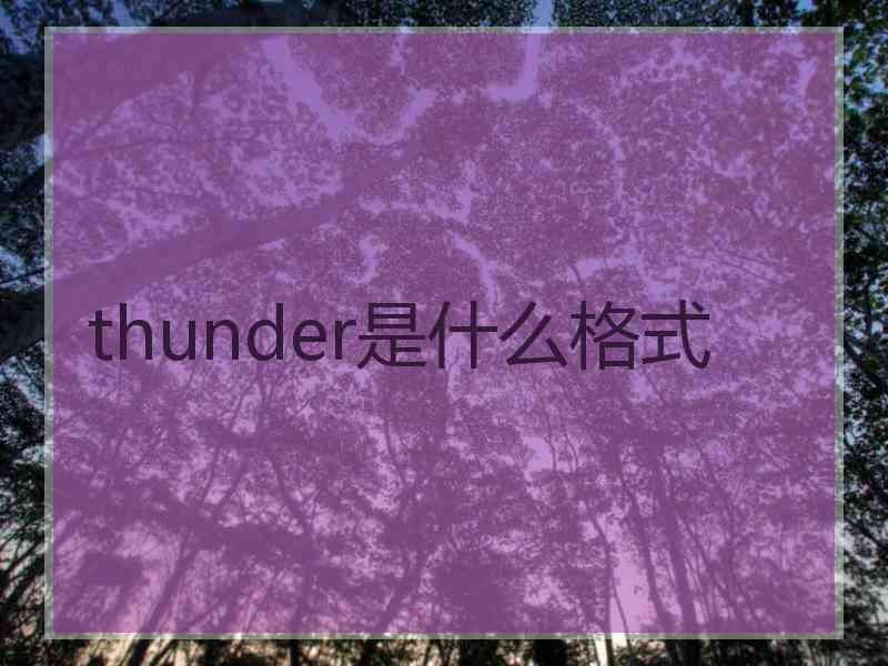 thunder是什么格式