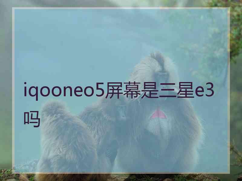 iqooneo5屏幕是三星e3吗