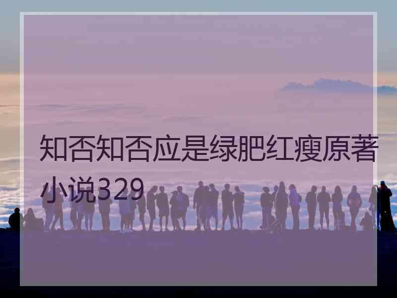 知否知否应是绿肥红瘦原著小说329