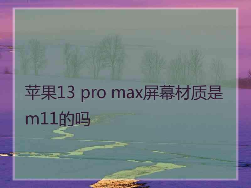 苹果13 pro max屏幕材质是m11的吗