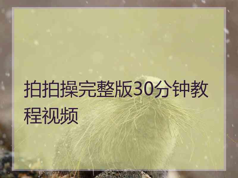 拍拍操完整版30分钟教程视频