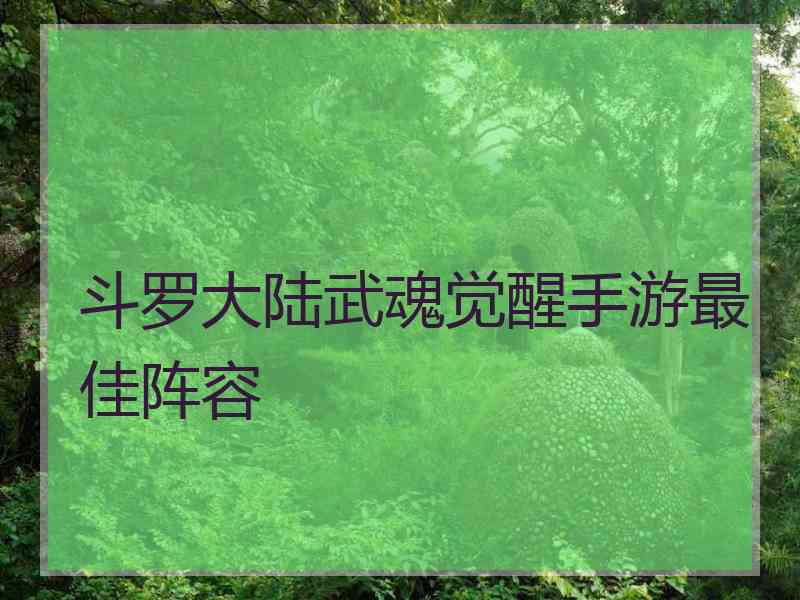 斗罗大陆武魂觉醒手游最佳阵容