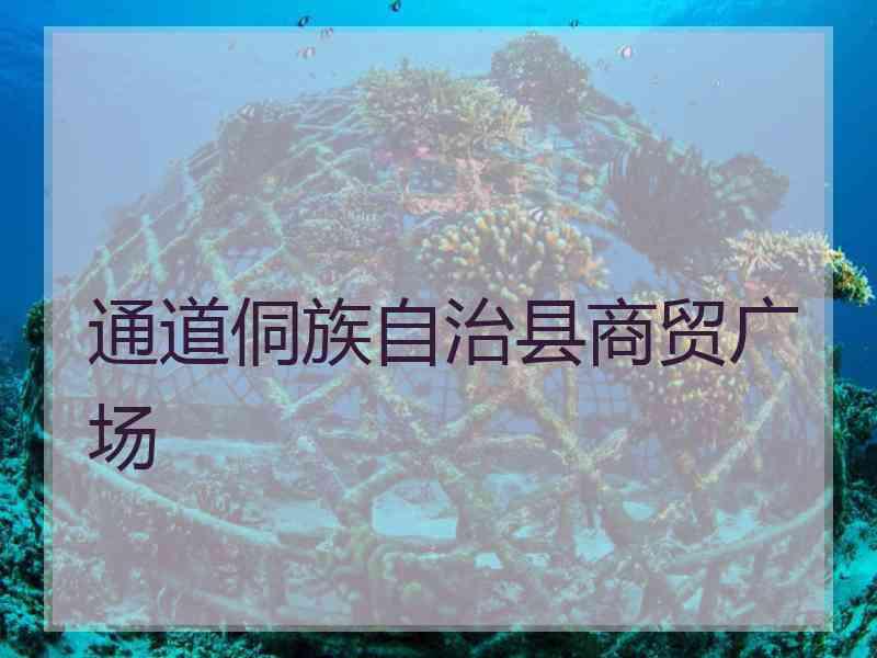 通道侗族自治县商贸广场