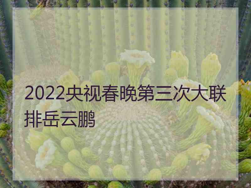 2022央视春晚第三次大联排岳云鹏