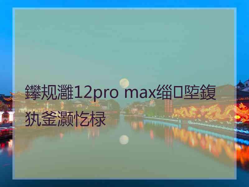 鑻规灉12pro max缁埅鍑犱釜灏忔椂