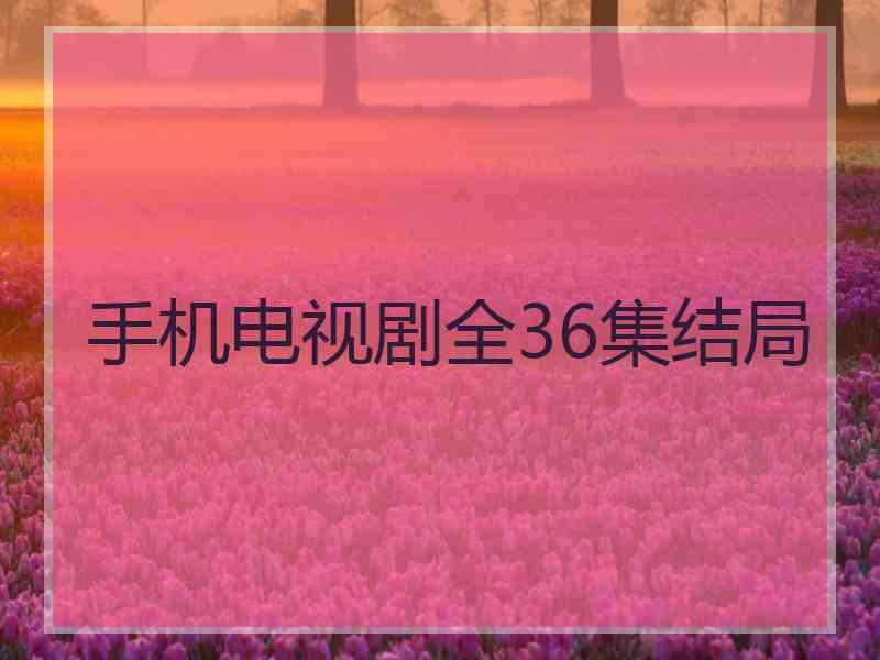 手机电视剧全36集结局