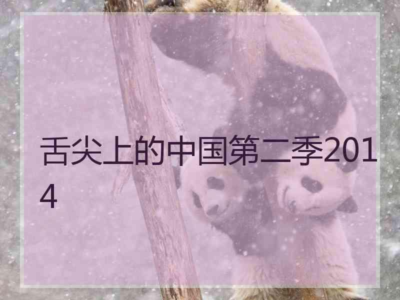 舌尖上的中国第二季2014