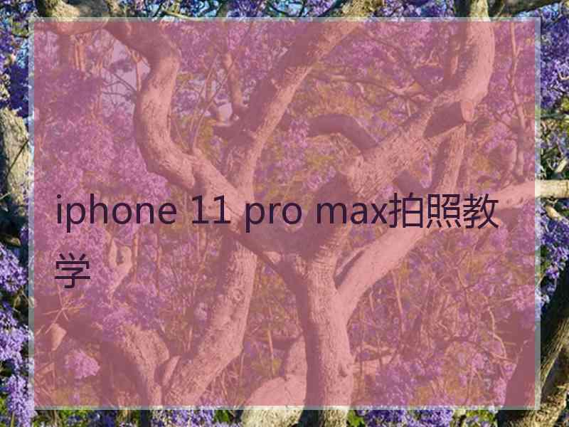 iphone 11 pro max拍照教学