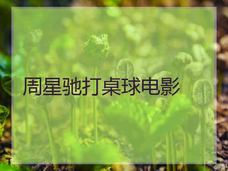 周星驰打桌球电影