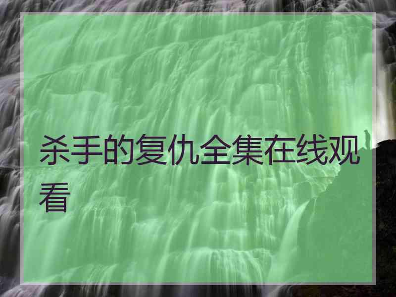 杀手的复仇全集在线观看