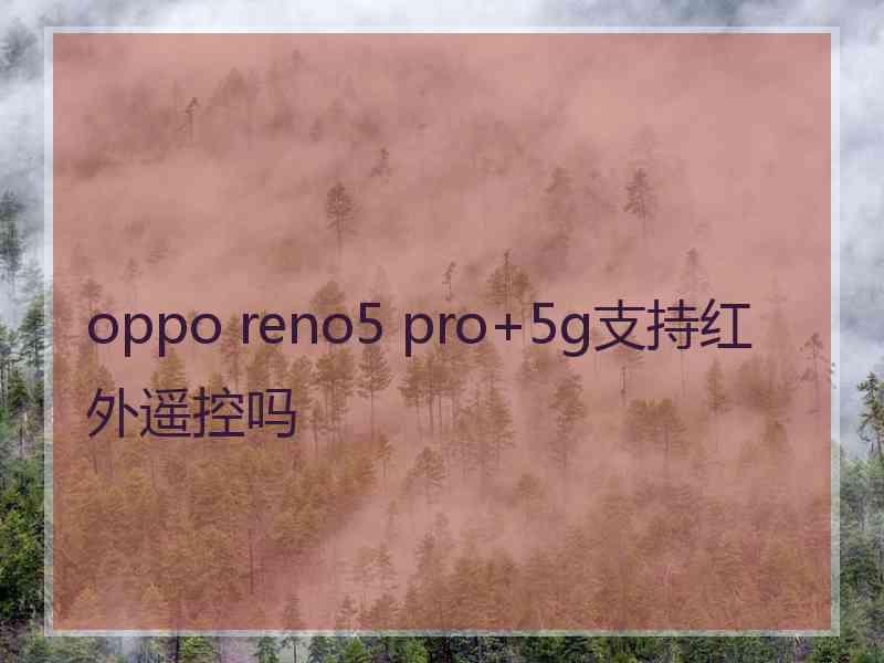 oppo reno5 pro+5g支持红外遥控吗