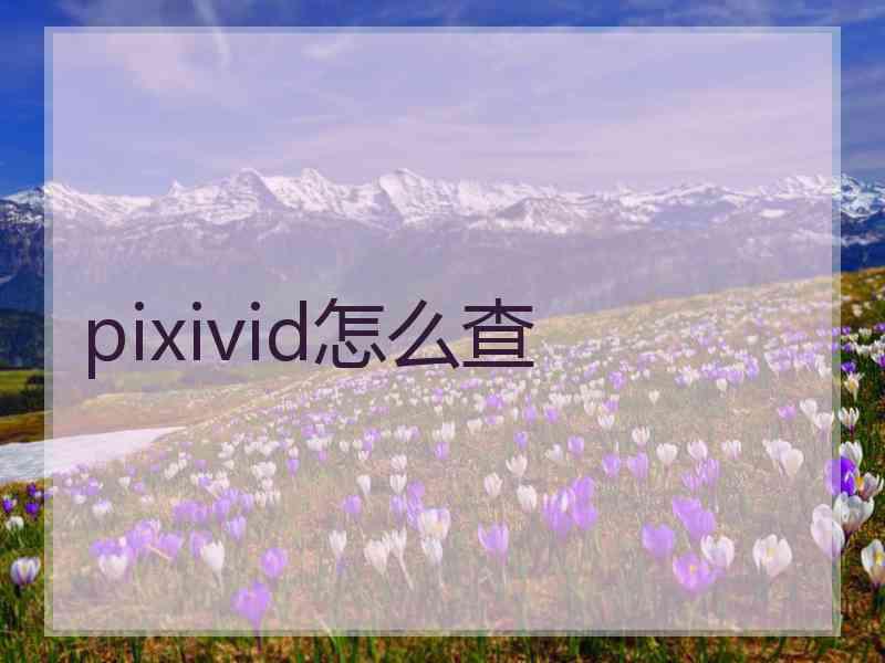 pixivid怎么查