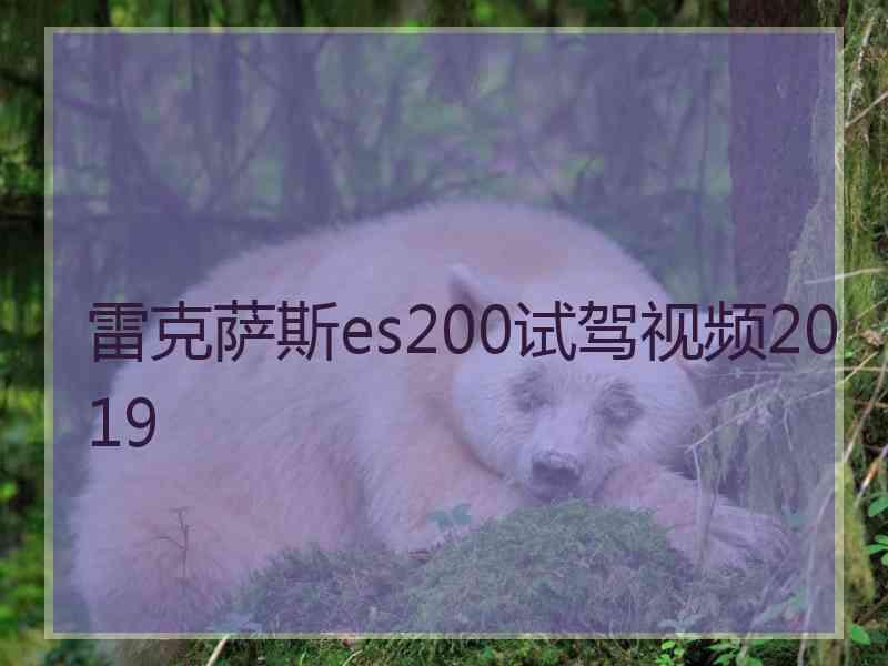 雷克萨斯es200试驾视频2019