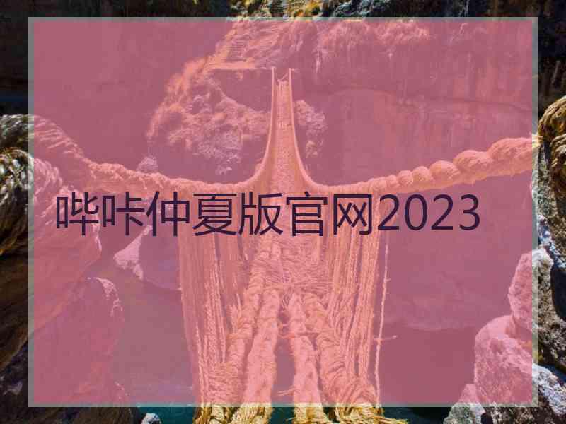 哔咔仲夏版官网2023