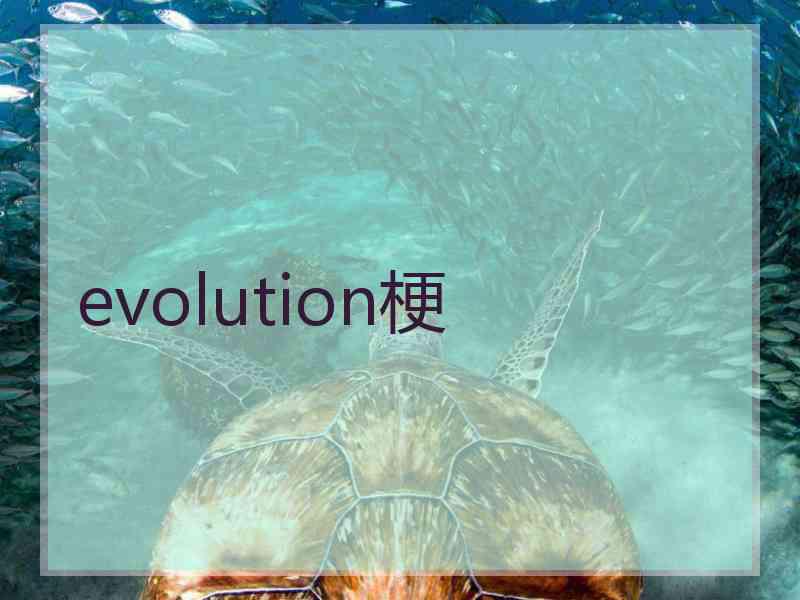 evolution梗