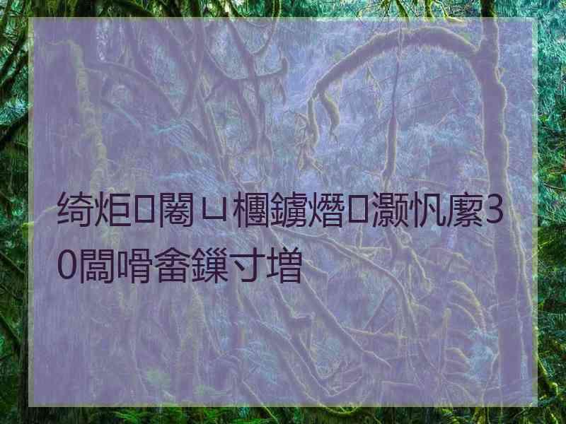 绮炬闂ㄩ檲鐪熸灏忛緳30闆嗗畬鏁寸増