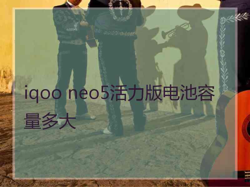 iqoo neo5活力版电池容量多大