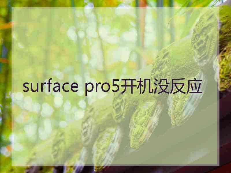 surface pro5开机没反应