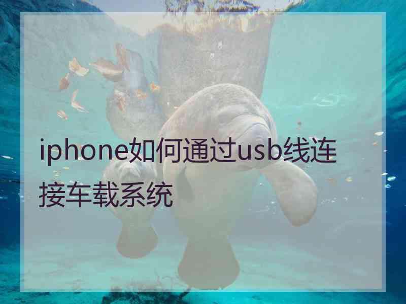 iphone如何通过usb线连接车载系统