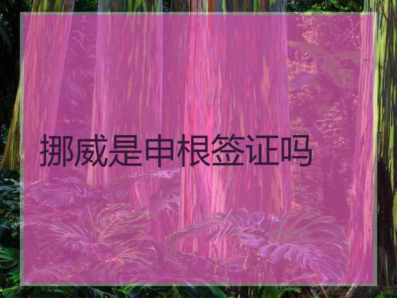 挪威是申根签证吗