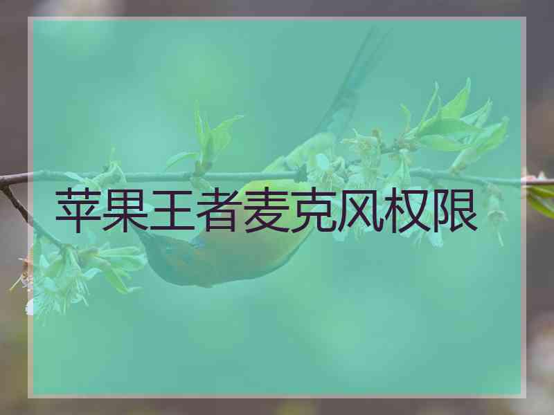 苹果王者麦克风权限