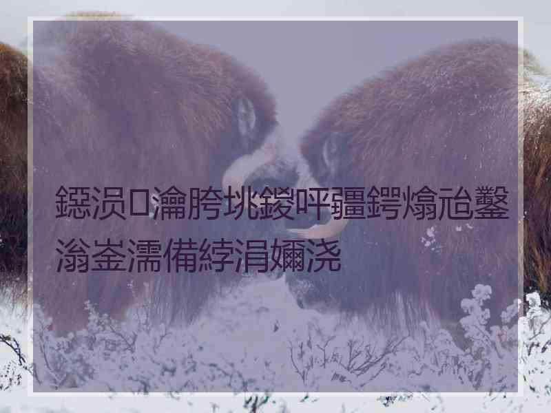 鐚涢瀹胯垗鍐呯疆鍔熻兘鑿滃崟濡備綍涓嬭浇