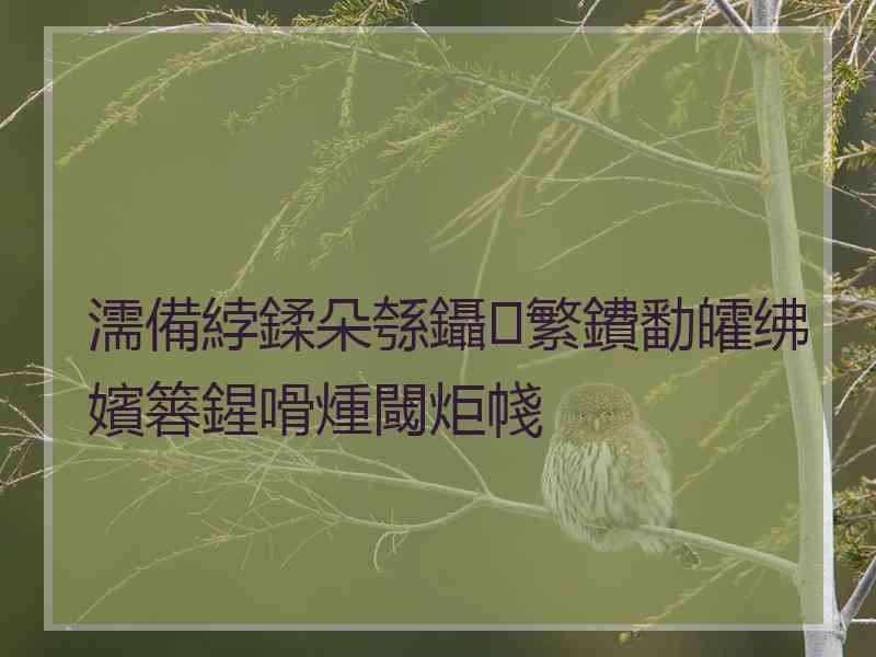 濡備綍鍒朵綔鑷繁鐨勫皬绋嬪簭鍟嗗煄閾炬帴