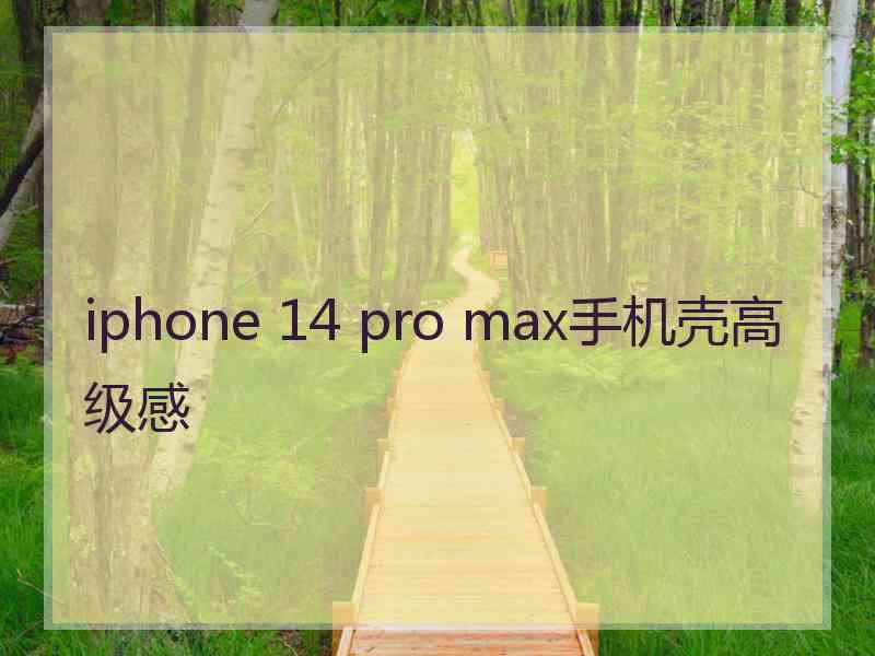 iphone 14 pro max手机壳高级感