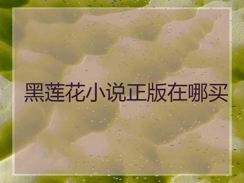 黑莲花小说正版在哪买