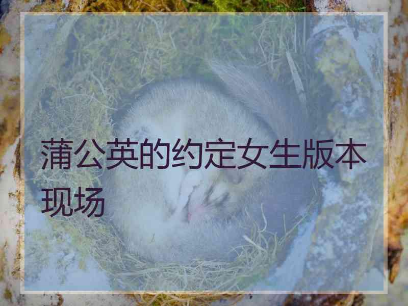 蒲公英的约定女生版本现场