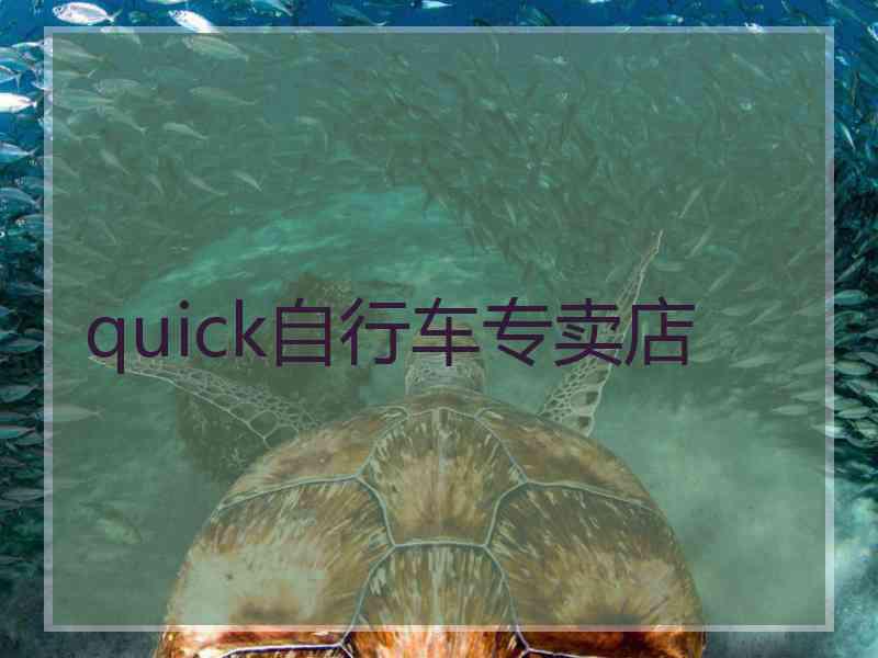 quick自行车专卖店