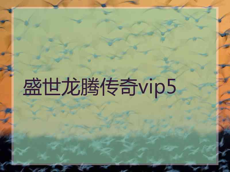 盛世龙腾传奇vip5