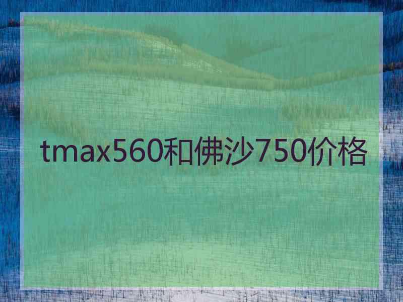 tmax560和佛沙750价格