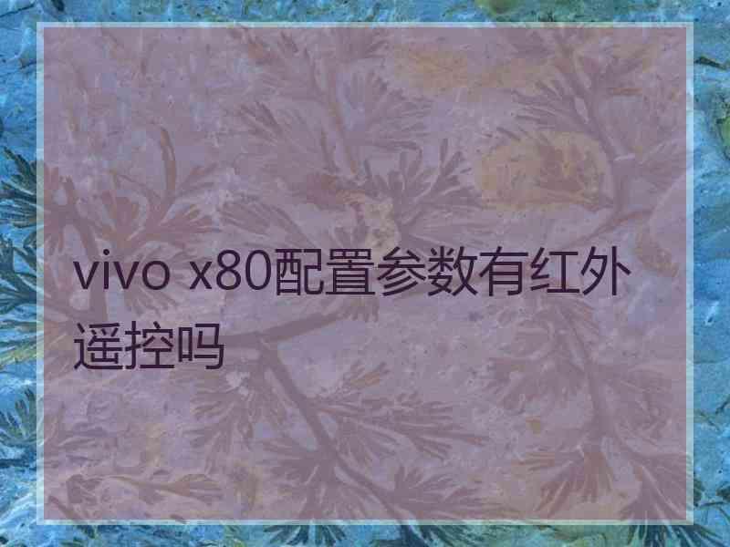 vivo x80配置参数有红外遥控吗