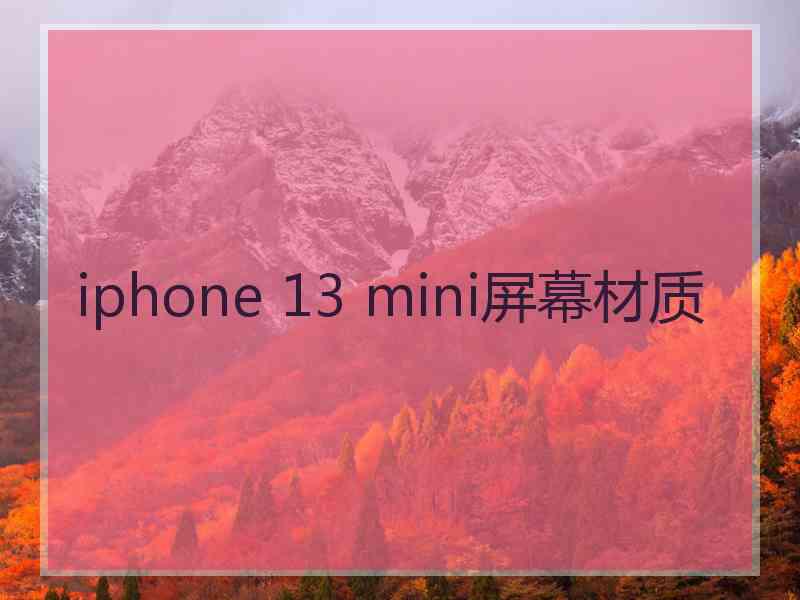 iphone 13 mini屏幕材质