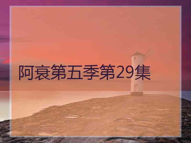 阿衰第五季第29集