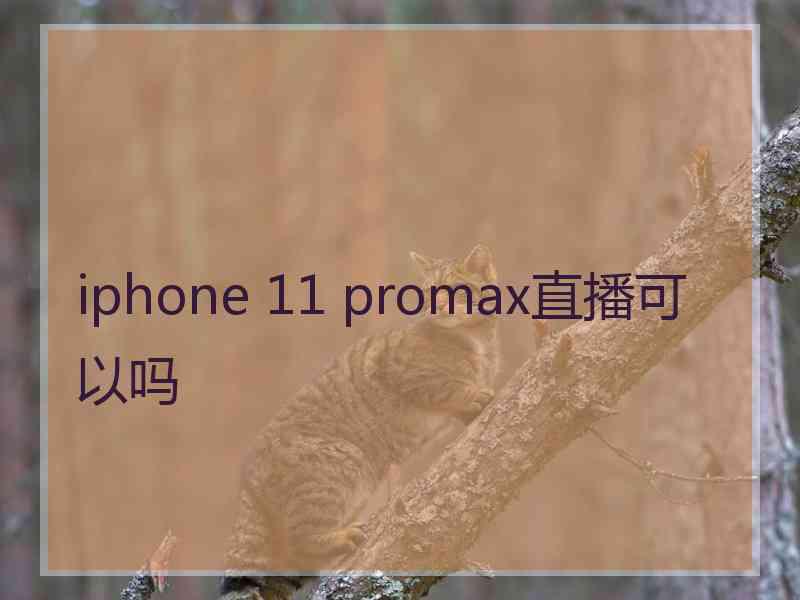 iphone 11 promax直播可以吗