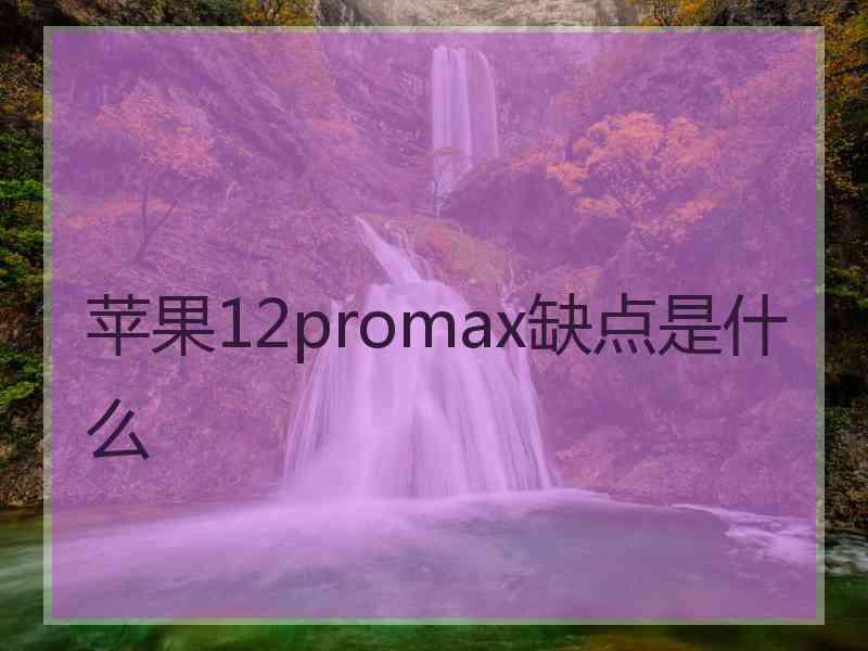 苹果12promax缺点是什么