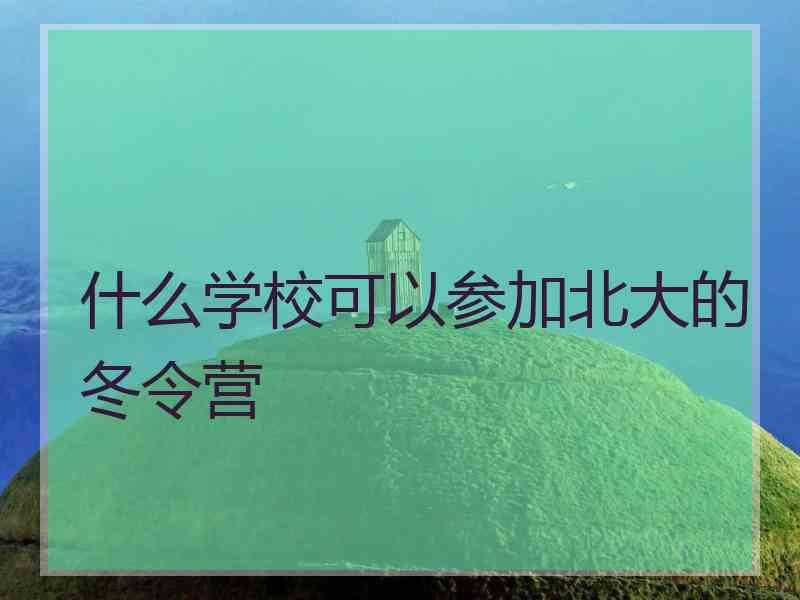 什么学校可以参加北大的冬令营