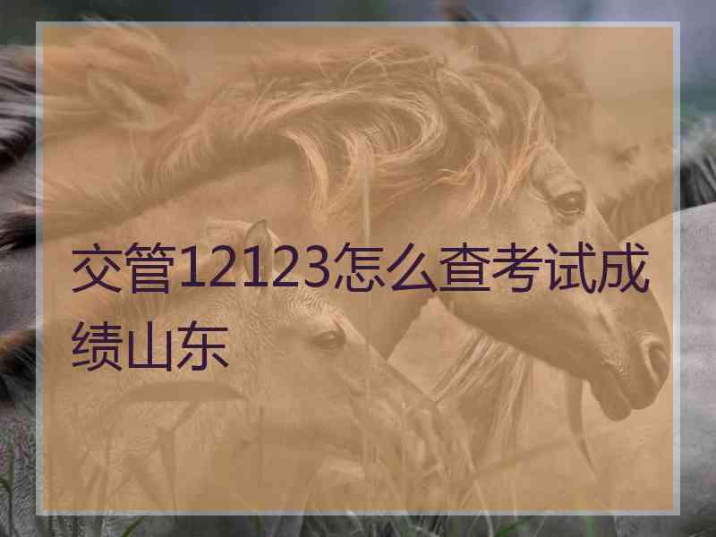 交管12123怎么查考试成绩山东