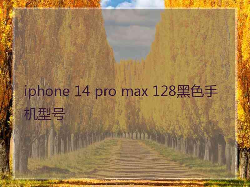 iphone 14 pro max 128黑色手机型号