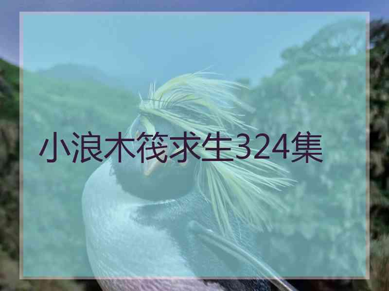 小浪木筏求生324集