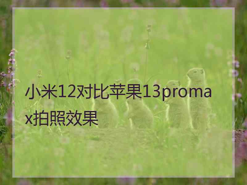 小米12对比苹果13promax拍照效果