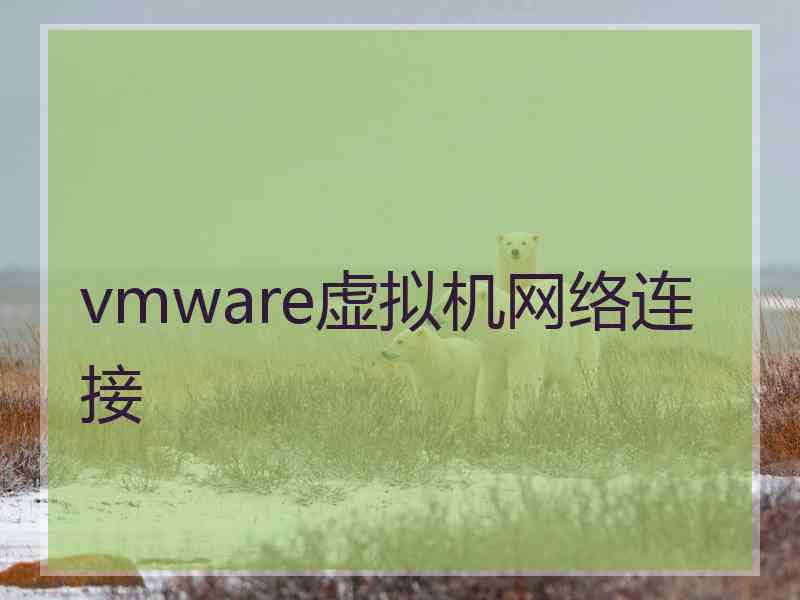 vmware虚拟机网络连接