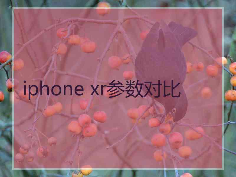 iphone xr参数对比