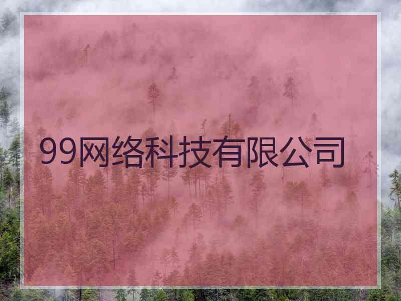 99网络科技有限公司