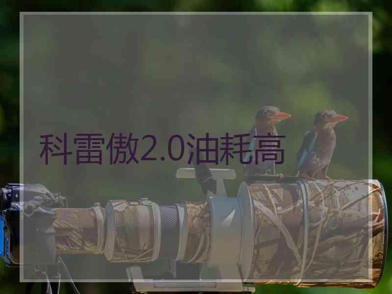 科雷傲2.0油耗高