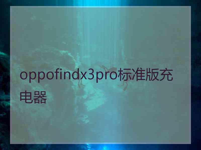 oppofindx3pro标准版充电器