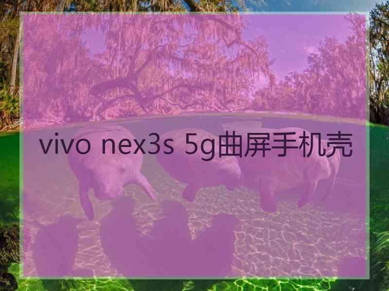 vivo nex3s 5g曲屏手机壳