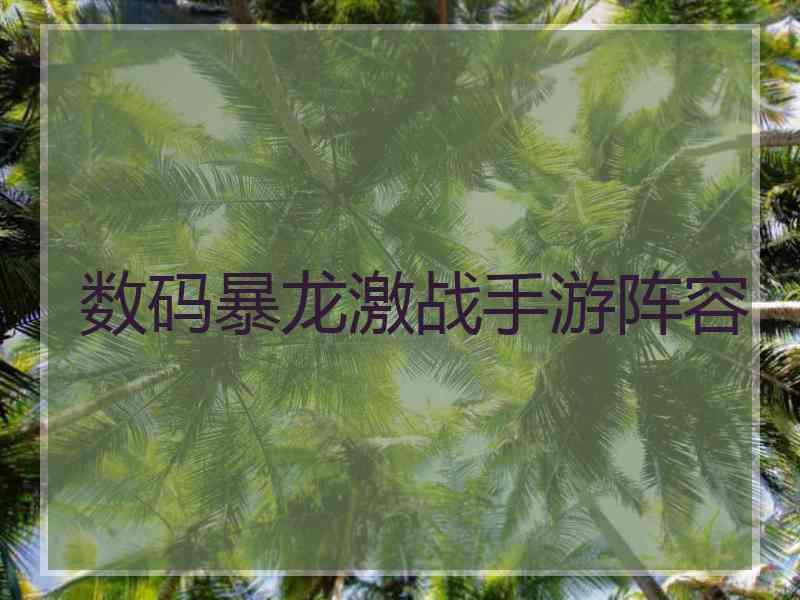 数码暴龙激战手游阵容